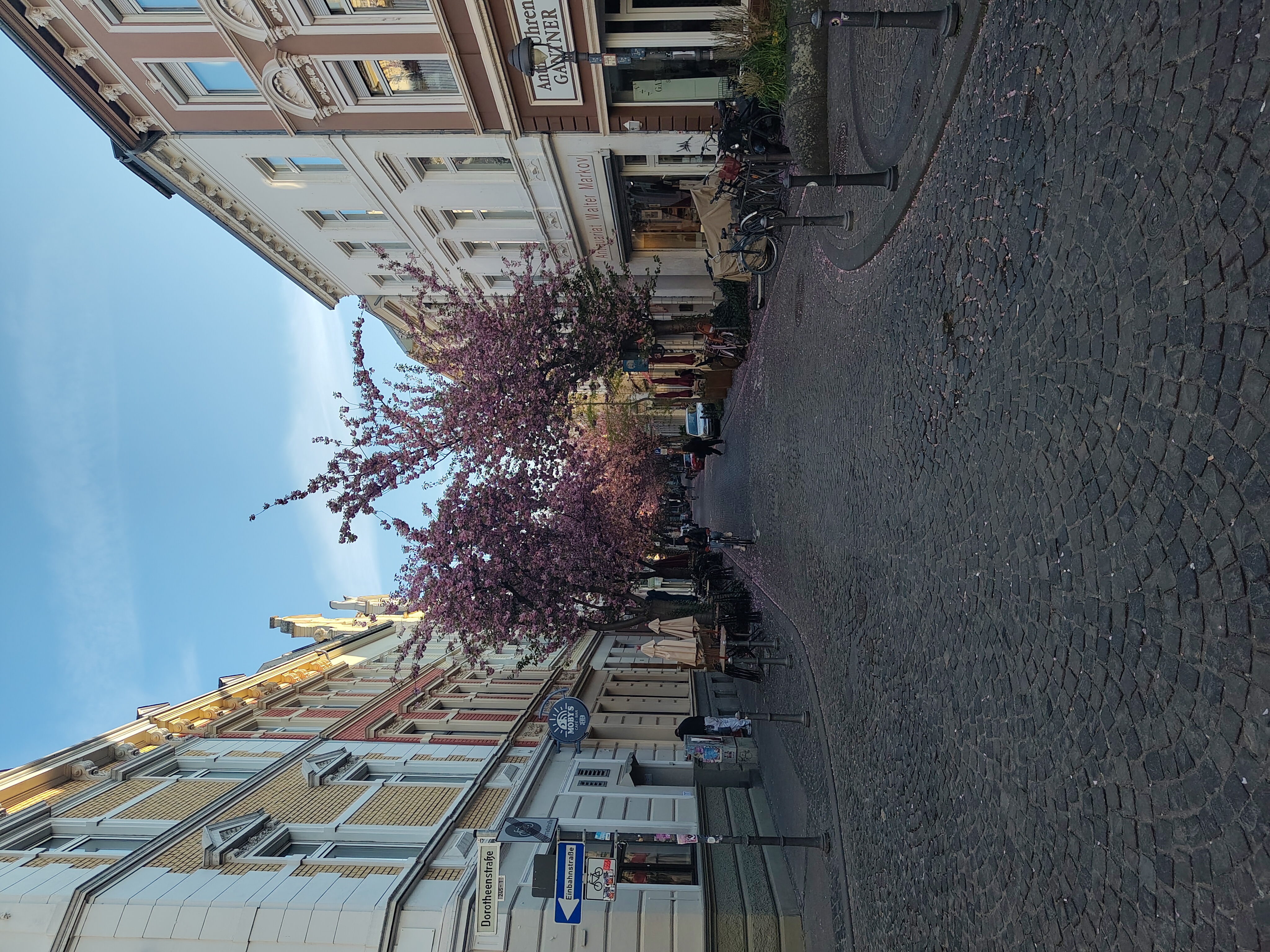 Bonner Altstadt
